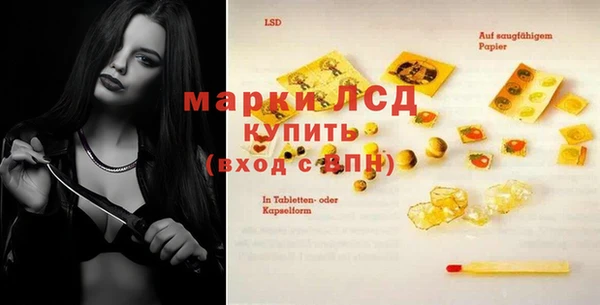 спиды Богородицк