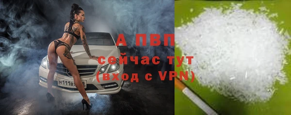 гашик Беломорск