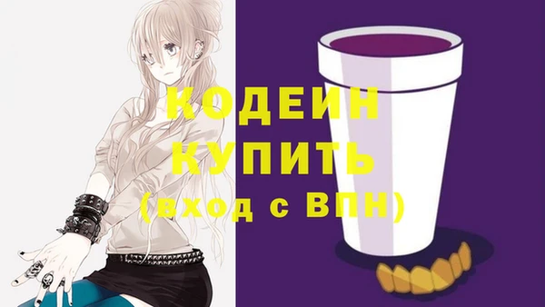 спиды Богородицк