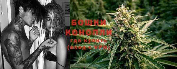 PSILOCYBIN Богданович