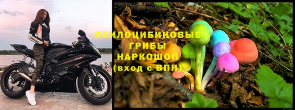 гашик Беломорск