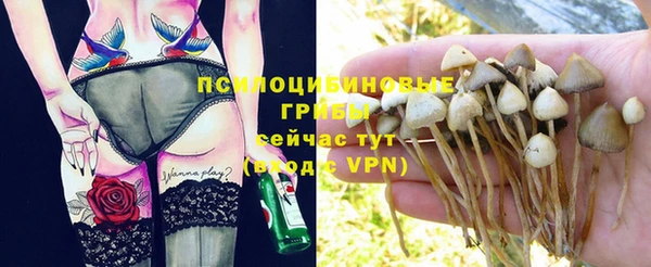 хмурый Белоозёрский