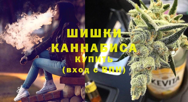 спиды Богородицк