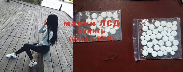 PSILOCYBIN Богданович