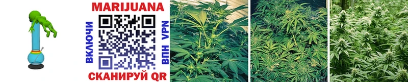 где продают   Балашов  OMG вход  МАРИХУАНА Ganja 